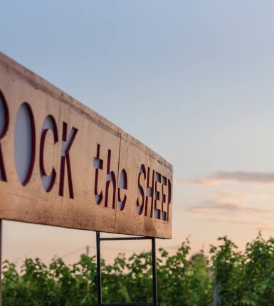 Festival Rock the Sheep – Edition 2025