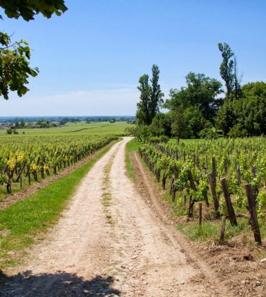 La Route des Vins de Bordeaux en Saint-Émilion, Pomerol et Fronsac : une escale incontournable depuis Sainte-Foy-la-Grande