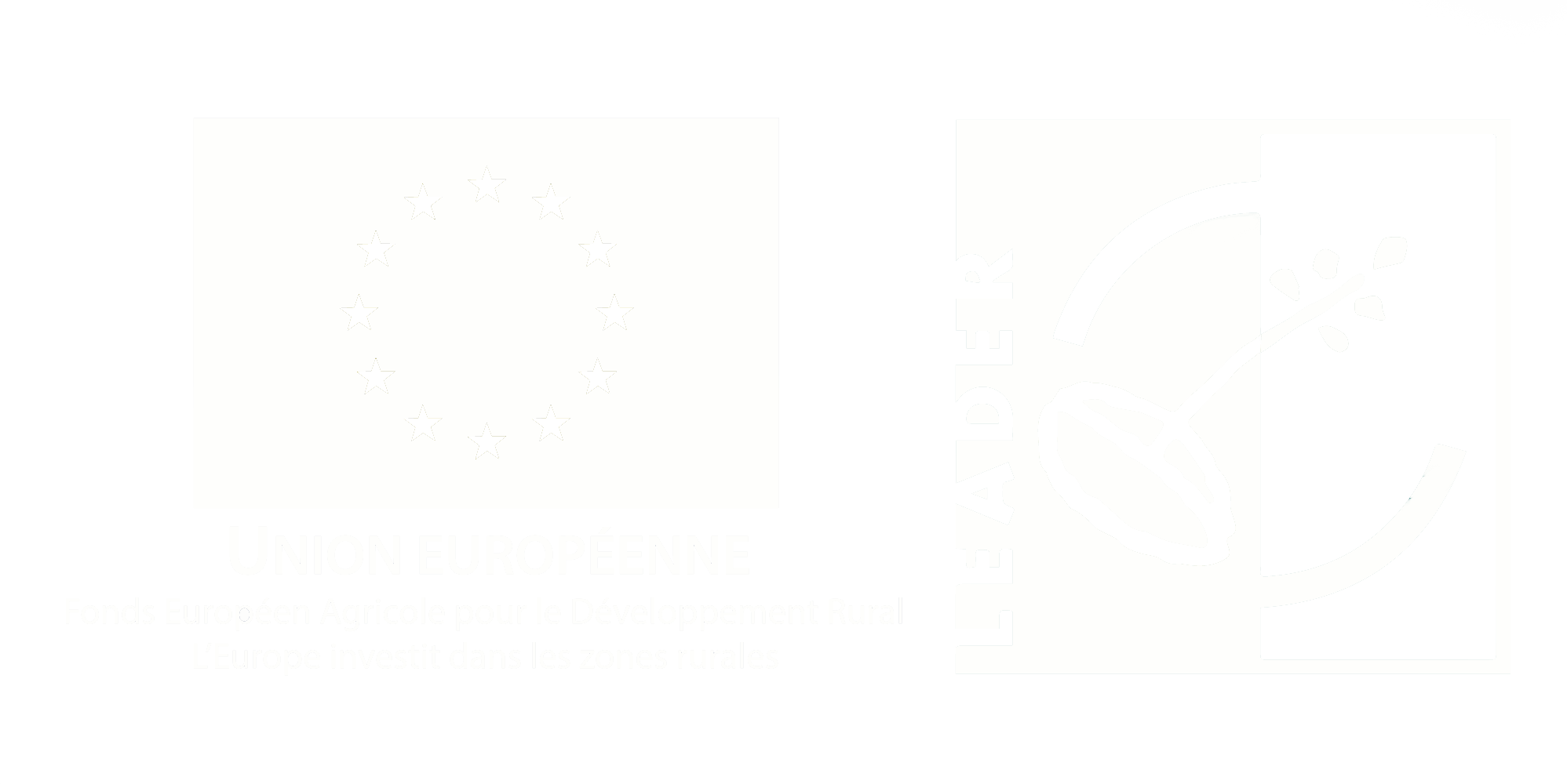LOGO EU ET LEADER web fond transparent