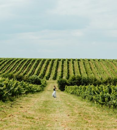 Les balades gourmandes en Pays Foyen