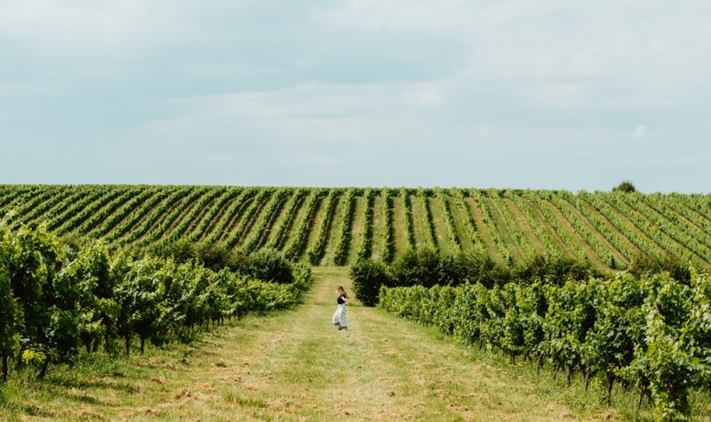 Les balades gourmandes en Pays Foyen