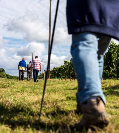 De la Gironde aux Alpes-de-Haute-Provence GR6