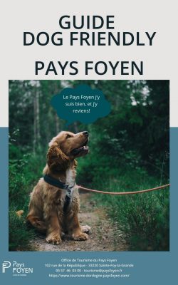 Dog Friendly Guide in Pays Foyen