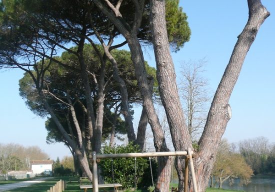 Aire de pique-nique de la plage des Bardoulets à Port-Sainte-Foy-et-Ponchapt