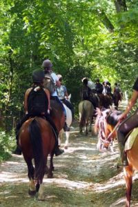 Poney-club de Sainte-Foy-la-Grande