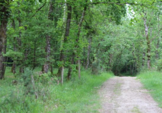 Boucle locale de Cayfas à Listrac-de-Durèze
