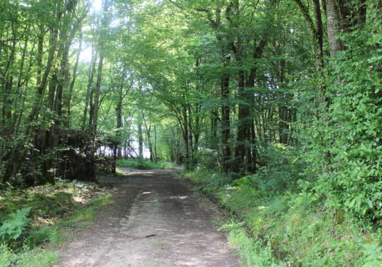Boucle locale du coucou à Landerrouat