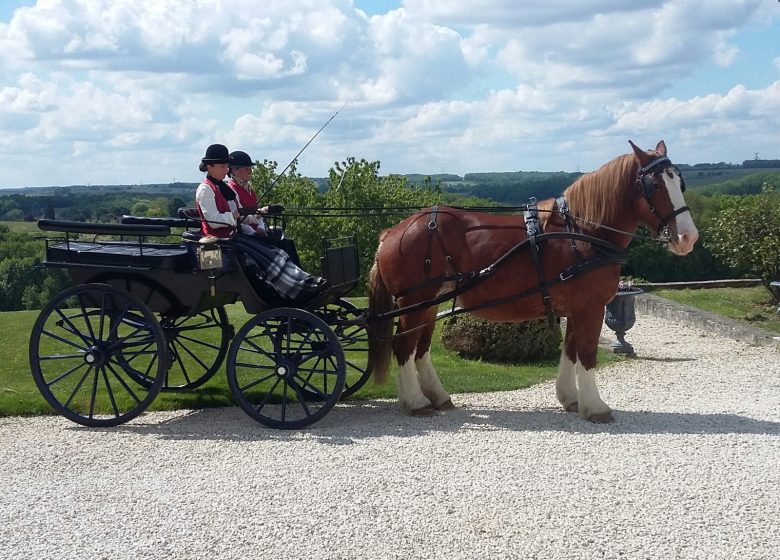 Pferdekutschenfahrt im Château Picon