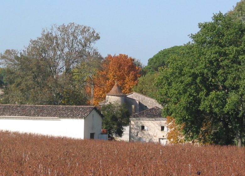 Château Font-Vidal