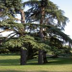 Rendez-vous aux jardins : Château Pierrail