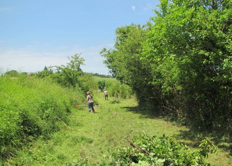 Chemins et Patrimoine Andrésiens