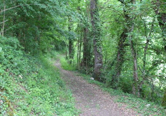 Circuit de La Tour à Les-Lèves-et-Thoumeyragues