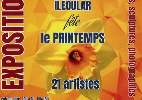 Exposition peintures, sculptures et photographies par l’association Iléoular