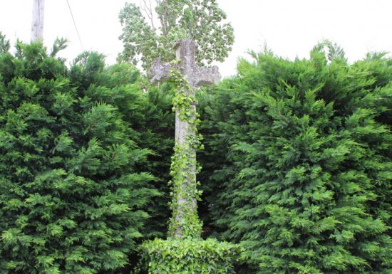 Circuit de La Tour à Les-Lèves-et-Thoumeyragues