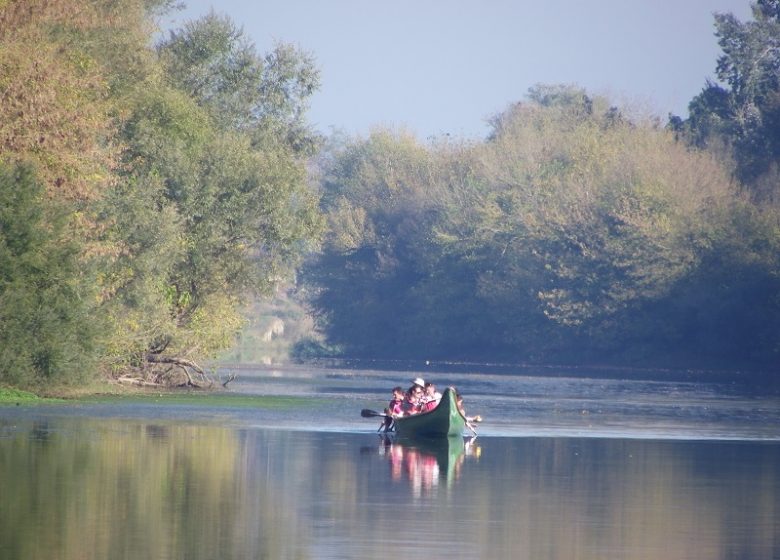 Fahren Sie mit einem Rabaska-Kanu über das Wasser