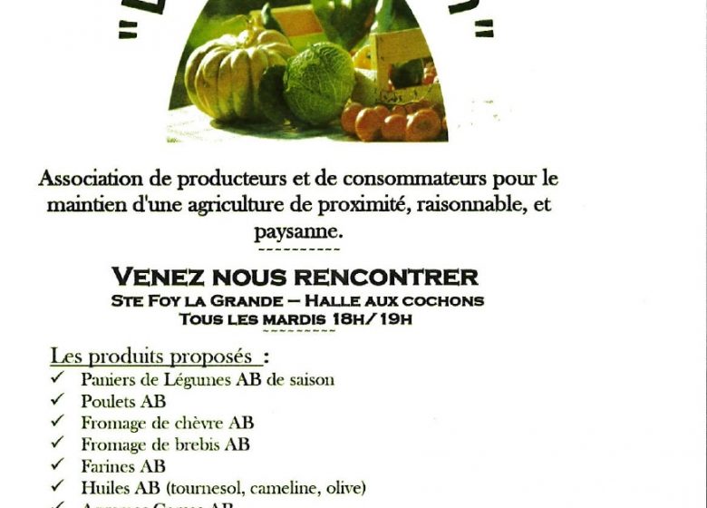 Le Panier Foyen (Association for the Maintenance of Peasant Agriculture - AMAP)