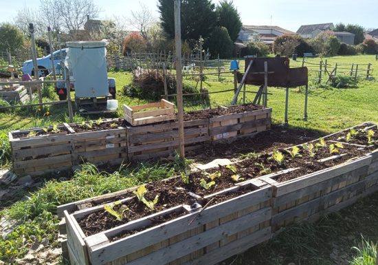 Association Les Champs d’Elisée