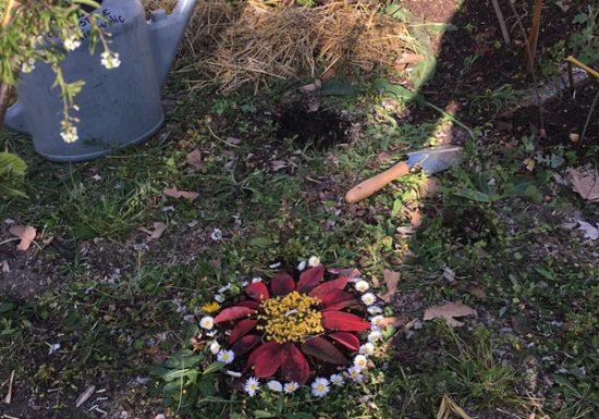 Association Les Champs d’Elisée