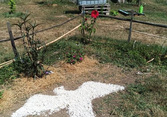 Association Les Champs d’Elisée