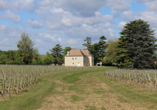 Circuit du Bois des Dames à Saint-Quentin-de-Caplong