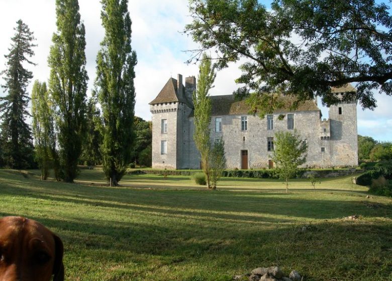 Schloss Gageac