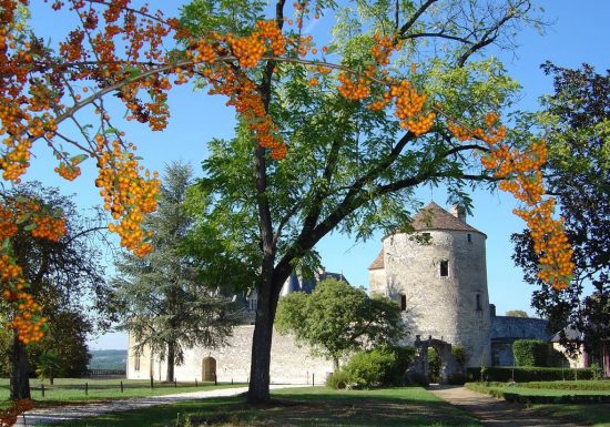 Châteaux en fête – Château de Montaigne