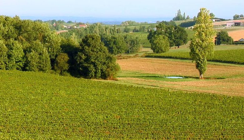 Château Puy Servain - Kalabrien