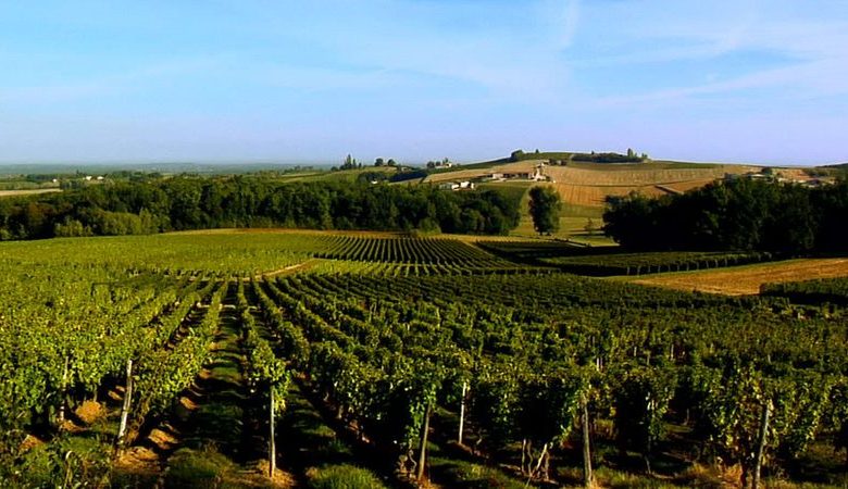 Château Puy Servain - Calabrië