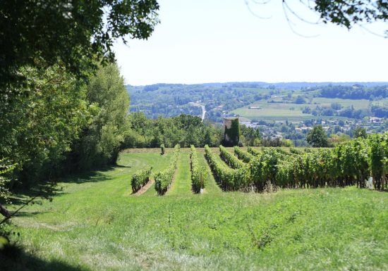 Circuit de La Peyrute de Port-Sainte-Foy-et-Ponchapt