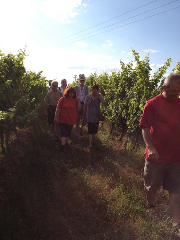 The Winegrowers of Landerrouat – Duras – Cazaugitat
