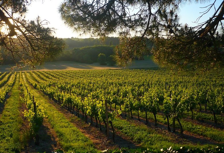Der Taubenschlag von Schloss Hostens-Picant